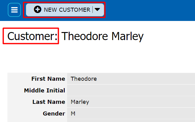 User Mode Singular Name