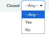 Ask in Boolean Column